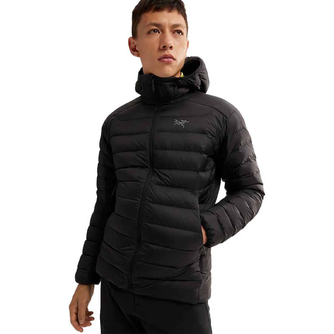 Arc'teryx Cerium Hoody - Men's